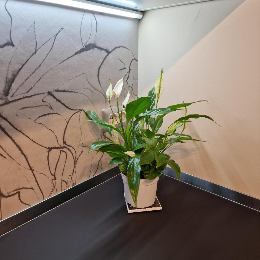 Corso Vittorio 364 Lägenhet Cagliari Exteriör bild
